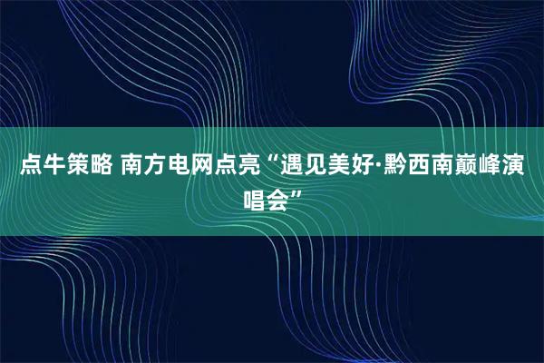 点牛策略 南方电网点亮“遇见美好·黔西南巅峰演唱会”