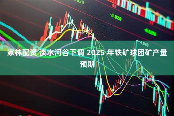家林配资 淡水河谷下调 2025 年铁矿球团矿产量预期